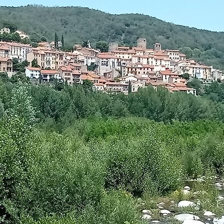 Studio Renove Vue Montagne Amélie-les-Bains-Palalda Eksteriør bilde