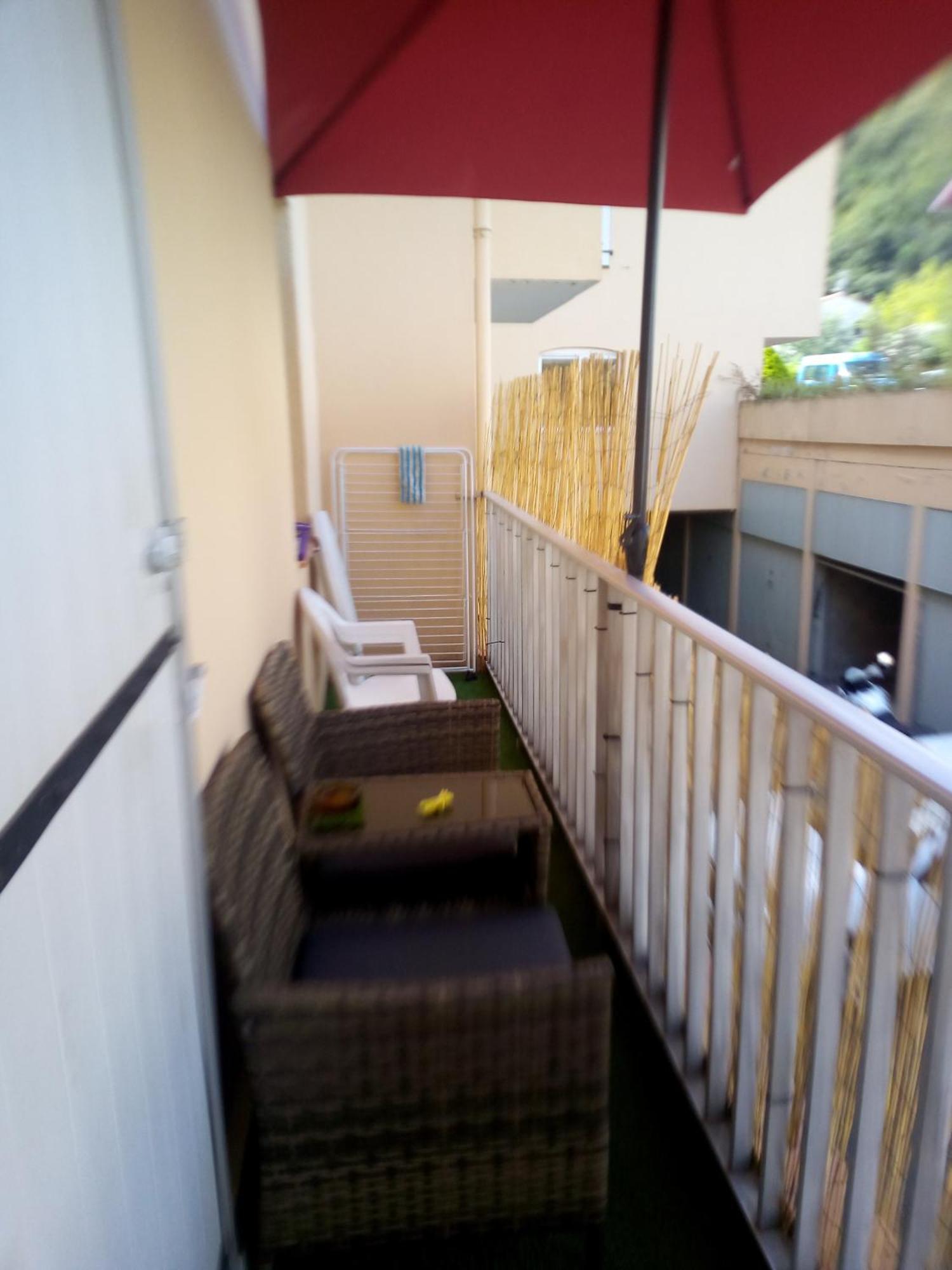 Studio Renove Vue Montagne Amélie-les-Bains-Palalda Eksteriør bilde