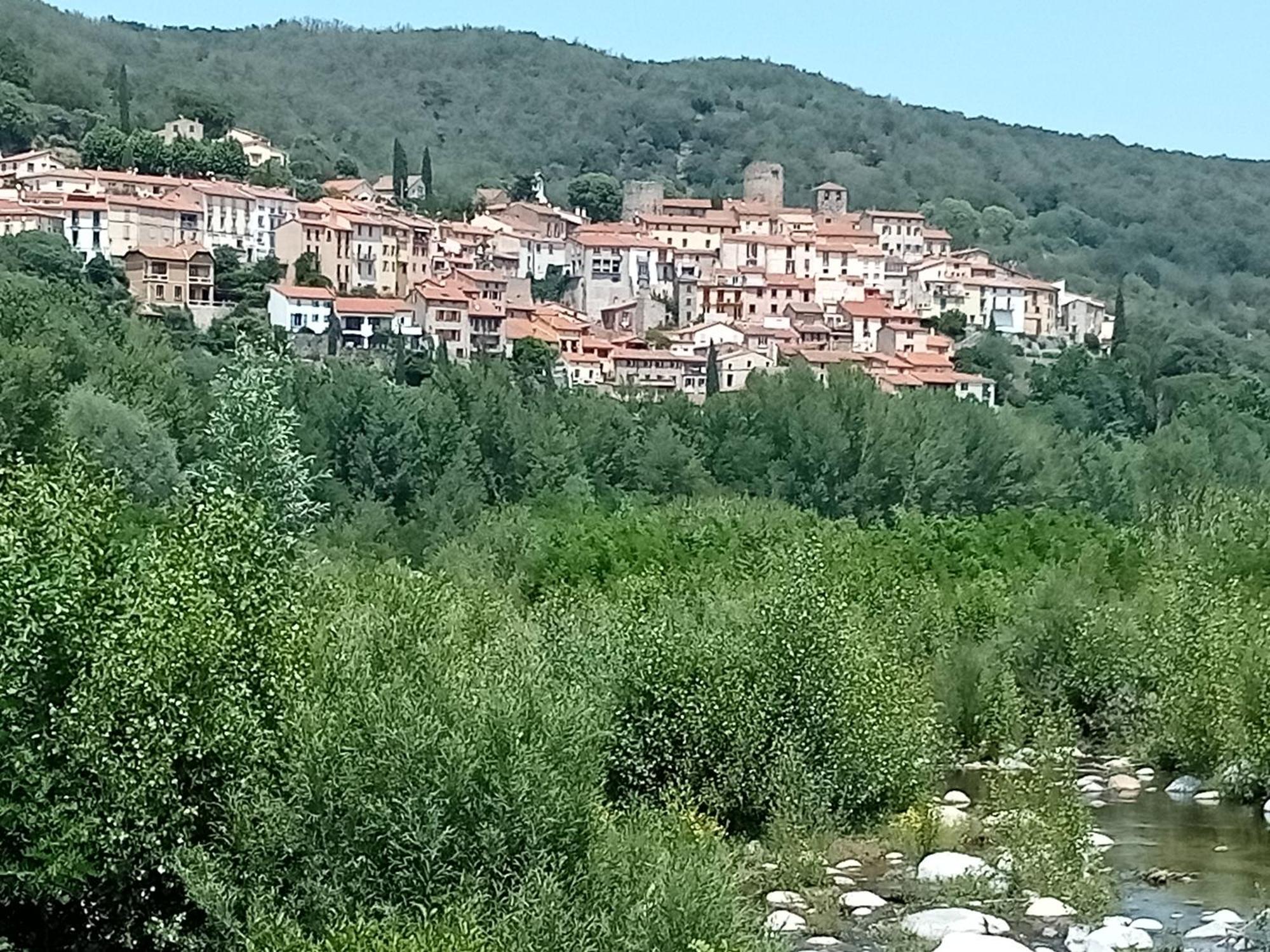 Studio Renove Vue Montagne Amélie-les-Bains-Palalda Eksteriør bilde