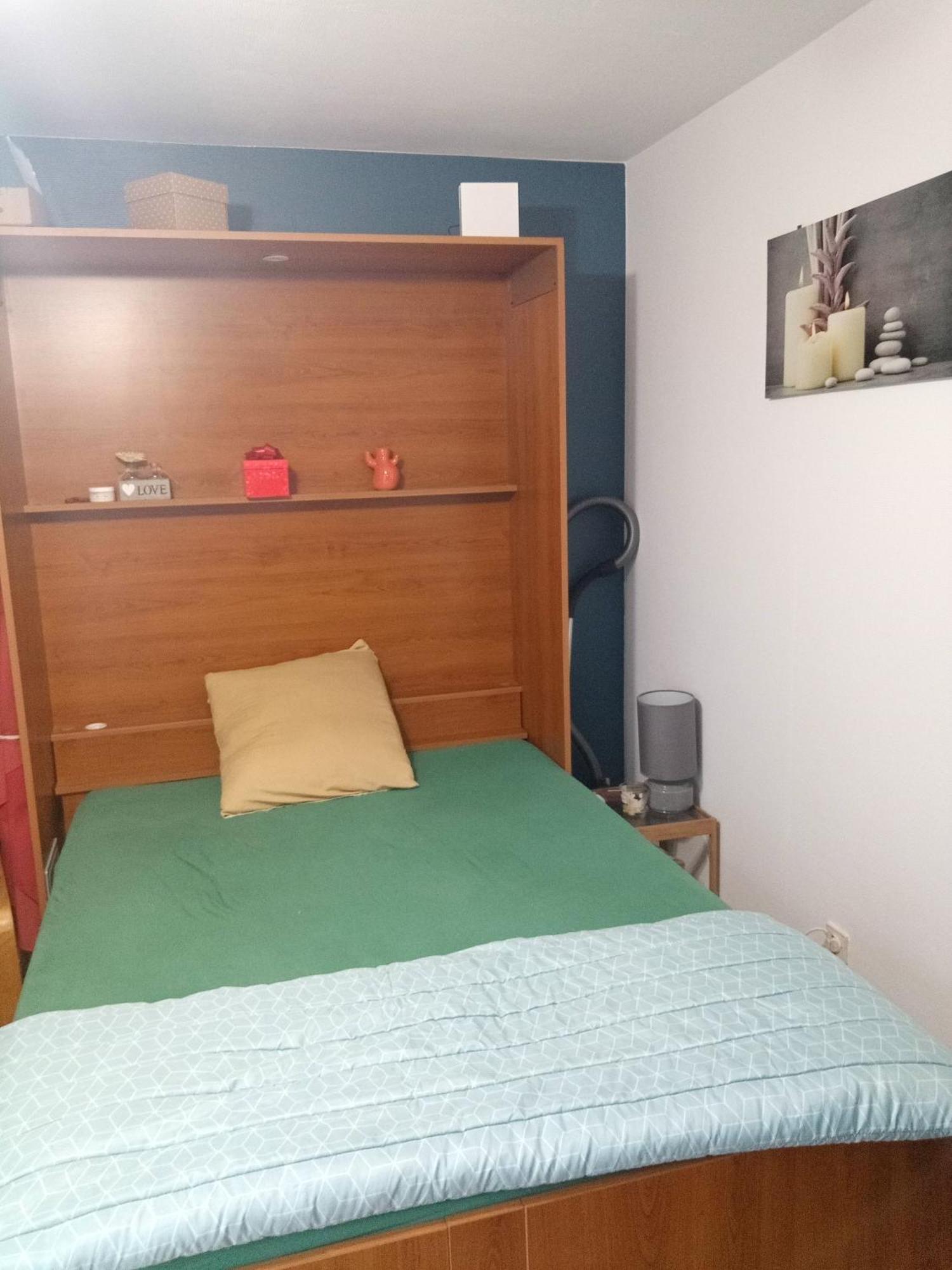 Studio Renove Vue Montagne Amélie-les-Bains-Palalda Eksteriør bilde