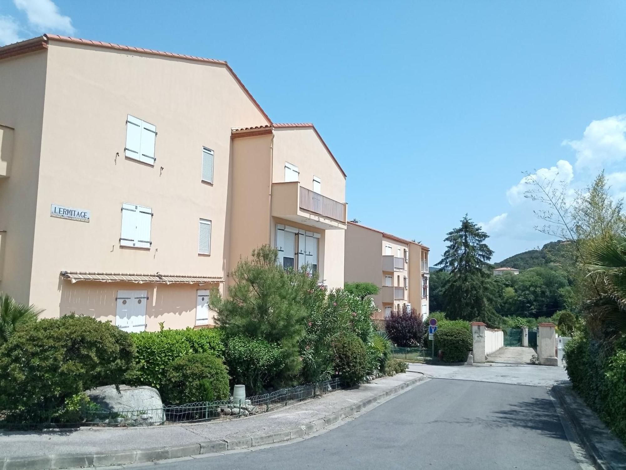 Studio Renove Vue Montagne Amélie-les-Bains-Palalda Eksteriør bilde