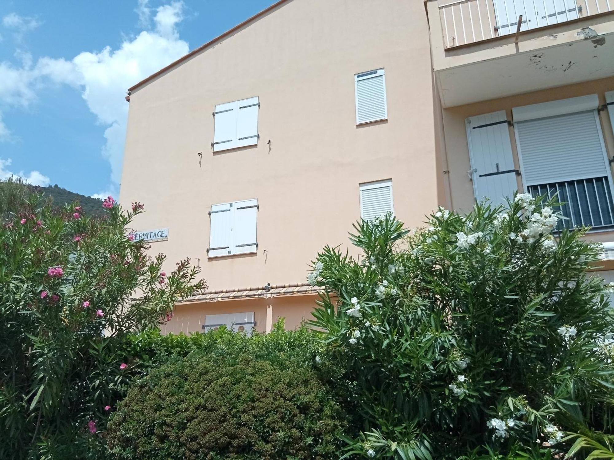 Studio Renove Vue Montagne Amélie-les-Bains-Palalda Eksteriør bilde