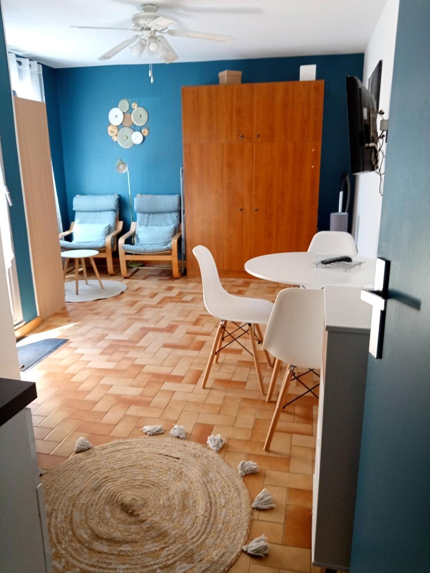 Studio Renove Vue Montagne Amélie-les-Bains-Palalda Eksteriør bilde